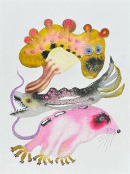 Carla van der Kooi website