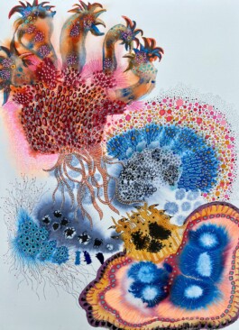 Carla van der Kooi website