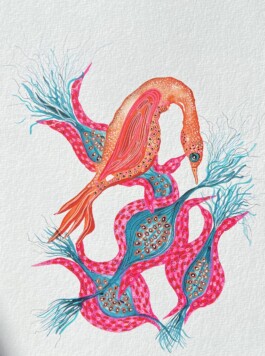 Carla van der Kooi website