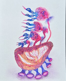 Carla van der Kooi website