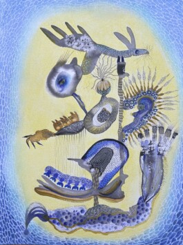 Carla van der Kooi website