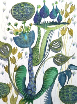 Carla van der Kooi website