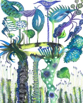 Carla van der Kooi website