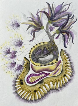 Carla van der Kooi website