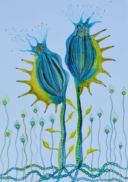 Carla van der Kooi website