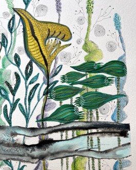 Carla van der Kooi website