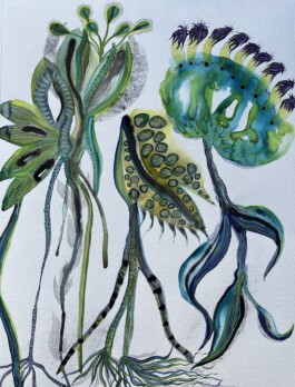 Carla van der Kooi website