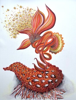 Carla van der Kooi website