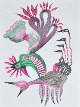 Carla van der Kooi website