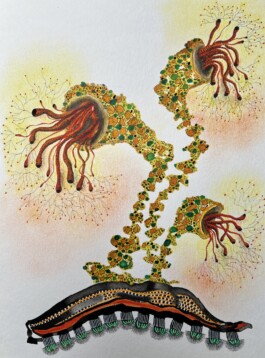 Carla van der Kooi website