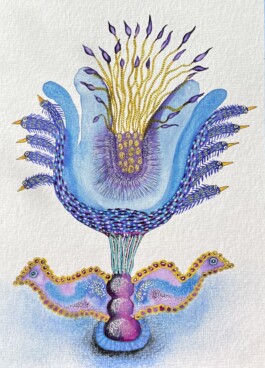 Carla van der Kooi website