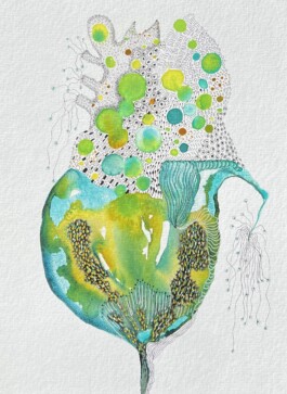 Carla van der Kooi website