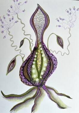 Carla van der Kooi website