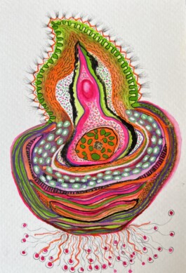 Carla van der Kooi website