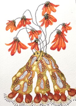 Carla van der Kooi website