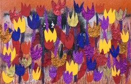 Carla van der Kooi website