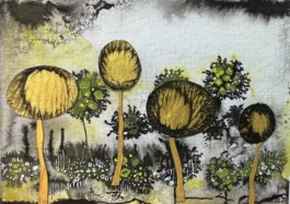 Carla van der Kooi website